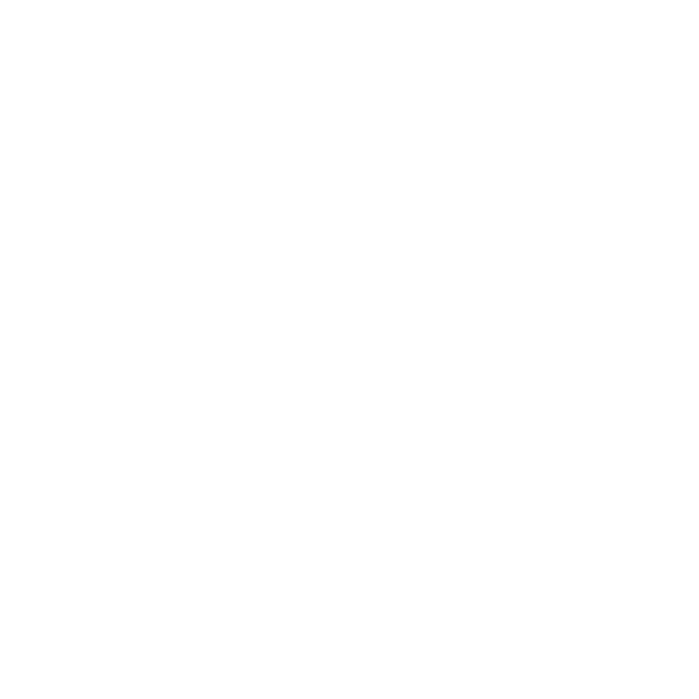 Capital Raising icon